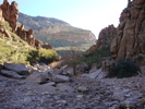 photo thumbnail #7