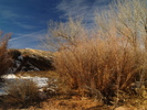 photo thumbnail #1