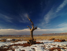 photo thumbnail #10