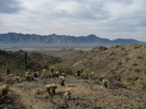 photo thumbnail #8