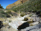 photo thumbnail #8