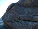 photo thumbnail #4