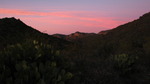 photo thumbnail #12