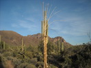 photo thumbnail #7