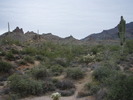 photo thumbnail #3