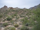 photo thumbnail #6