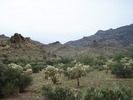 photo thumbnail #7