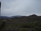 recent photo