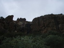 recent photo
