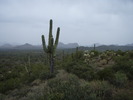 recent photo