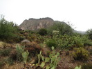 photo thumbnail #5