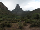 photo thumbnail #6