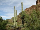 photo thumbnail #8