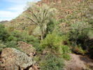 photo thumbnail #9