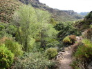 photo thumbnail #10