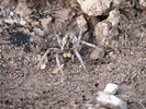 photo thumbnail #13
