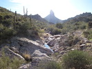 photo thumbnail #1