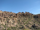 photo thumbnail #5
