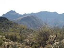 photo thumbnail #1