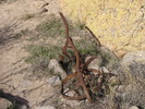 photo thumbnail #4