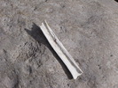 photo thumbnail #13