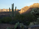 photo thumbnail #3