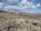 photo thumbnail #1