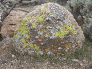 photo thumbnail #10