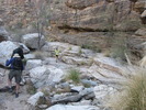 photo thumbnail #2