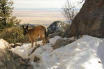 photo thumbnail #4