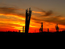 photo thumbnail #8