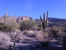 photo thumbnail #1