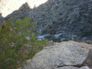 photo thumbnail #12