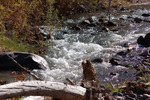 photo thumbnail #7