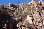 photo thumbnail #10