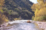 photo thumbnail #14