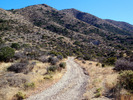 photo thumbnail #1