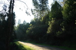 photo thumbnail #13