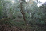 photo thumbnail #15