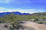 photo thumbnail #1
