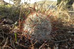 photo thumbnail #7
