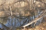 photo thumbnail #11