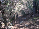 photo thumbnail #9