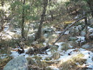photo thumbnail #10