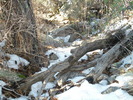 photo thumbnail #12