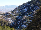 photo thumbnail #15