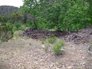 photo thumbnail #7