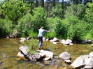 photo thumbnail #8