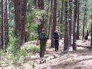 photo thumbnail #13