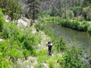 photo thumbnail #15